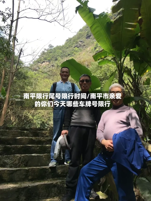 南平限行尾号限行时间/南平市亲爱的你们今天哪些车牌号限行
