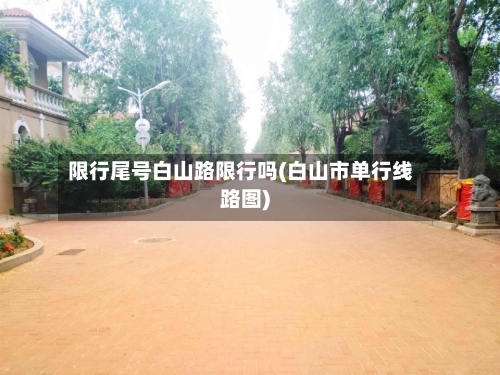 限行尾号白山路限行吗(白山市单行线路图)