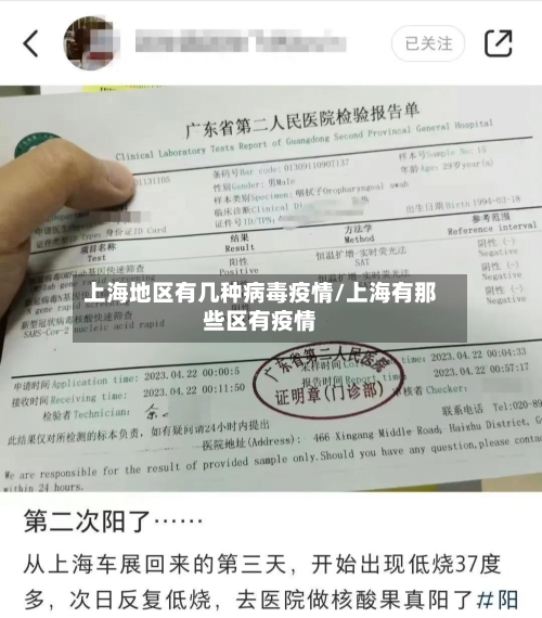 上海地区有几种病毒疫情/上海有那些区有疫情