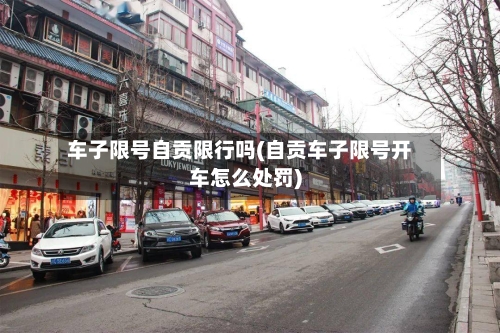 车子限号自贡限行吗(自贡车子限号开车怎么处罚)