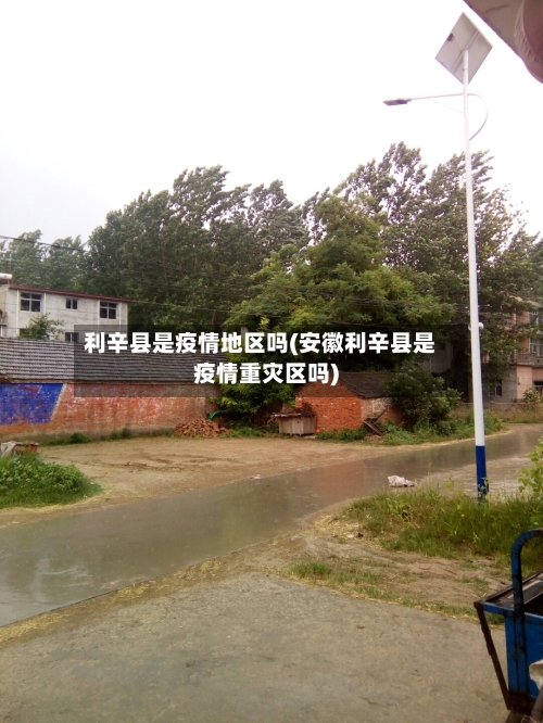 利辛县是疫情地区吗(安徽利辛县是疫情重灾区吗)