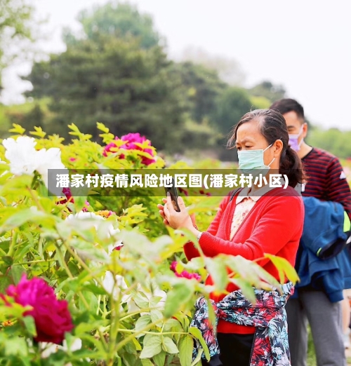 潘家村疫情风险地区图(潘家村小区)