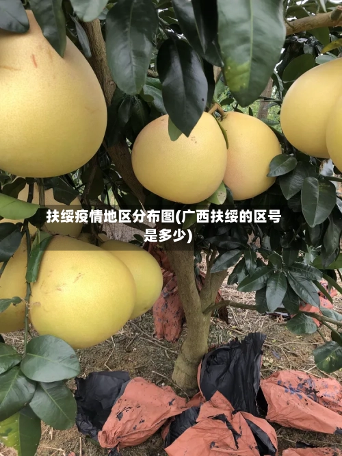 扶绥疫情地区分布图(广西扶绥的区号是多少)