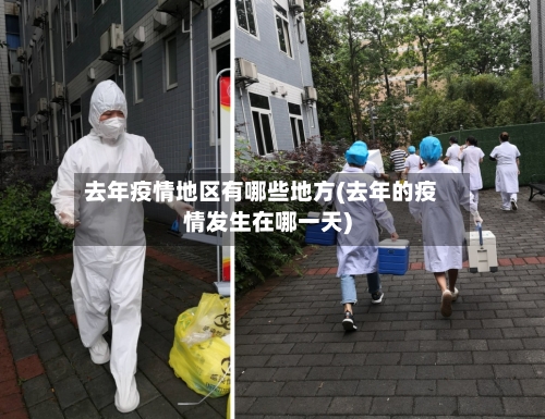 去年疫情地区有哪些地方(去年的疫情发生在哪一天)