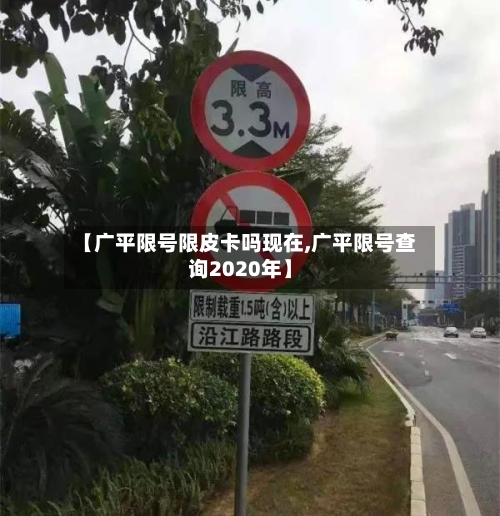 【广平限号限皮卡吗现在,广平限号查询2020年】