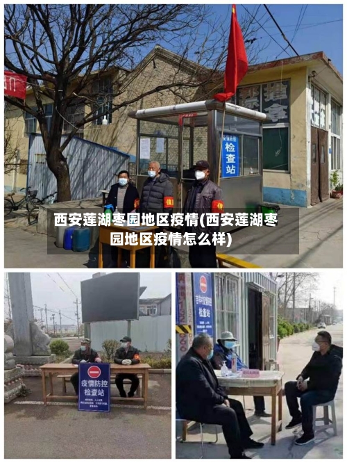 西安莲湖枣园地区疫情(西安莲湖枣园地区疫情怎么样)