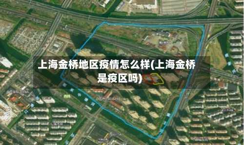 上海金桥地区疫情怎么样(上海金桥是疫区吗)