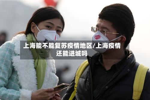 上海能不能复苏疫情地区/上海疫情还能进城吗