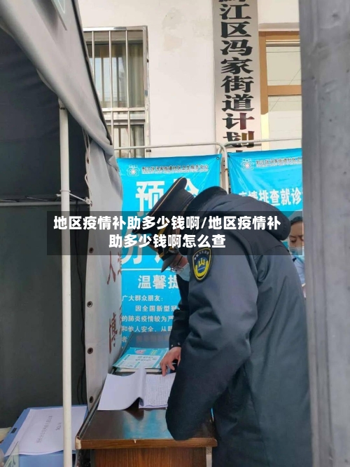 地区疫情补助多少钱啊/地区疫情补助多少钱啊怎么查