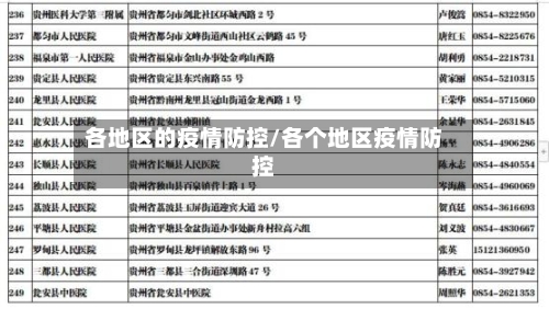 各地区的疫情防控/各个地区疫情防控