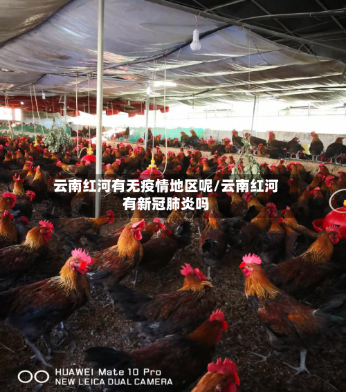 云南红河有无疫情地区呢/云南红河有新冠肺炎吗