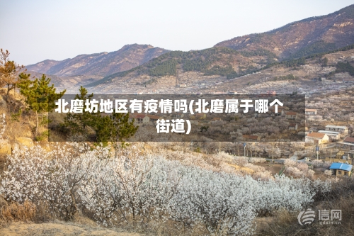 北磨坊地区有疫情吗(北磨属于哪个街道)