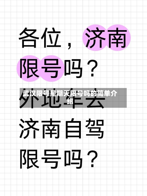 武汉限号星期天限号吗的简单介绍