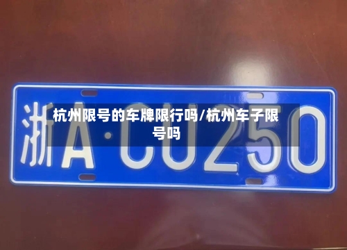 杭州限号的车牌限行吗/杭州车子限号吗