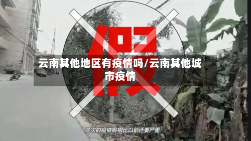 云南其他地区有疫情吗/云南其他城市疫情