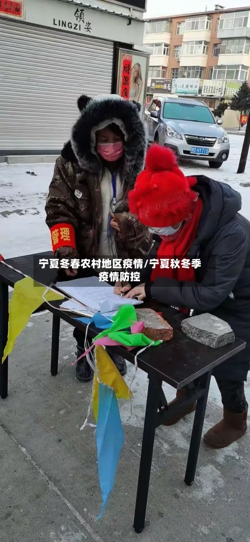 宁夏冬春农村地区疫情/宁夏秋冬季疫情防控
