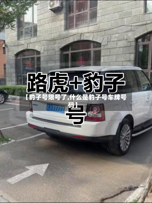 【豹子号限号了,什么是豹子号车牌号码】