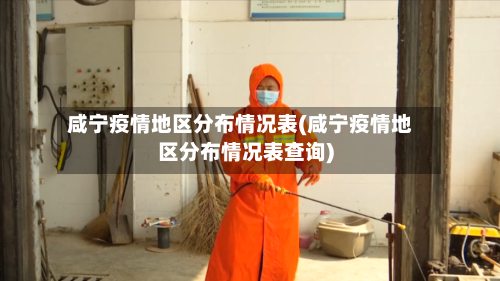 咸宁疫情地区分布情况表(咸宁疫情地区分布情况表查询)