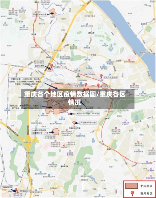 重庆各个地区疫情数据图/重庆各区情况