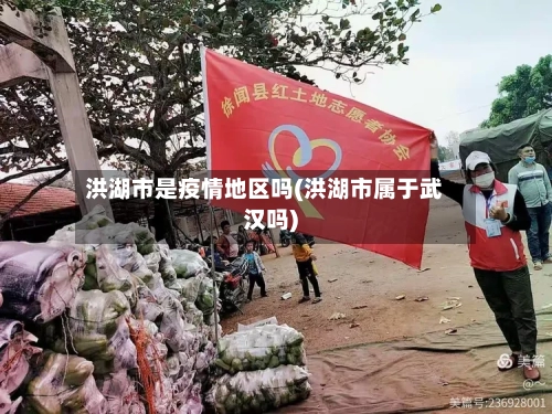 洪湖市是疫情地区吗(洪湖市属于武汉吗)