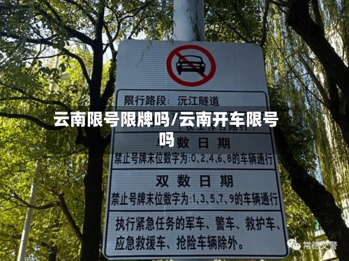 云南限号限牌吗/云南开车限号吗