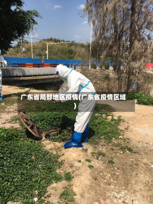 广东省局部地区疫情(广东省疫情区域)