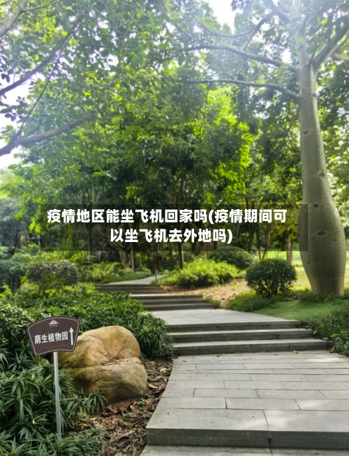 疫情地区能坐飞机回家吗(疫情期间可以坐飞机去外地吗)