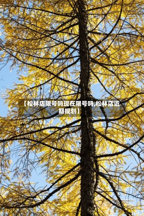 【松林店限号吗现在限号吗,松林店近期规划】