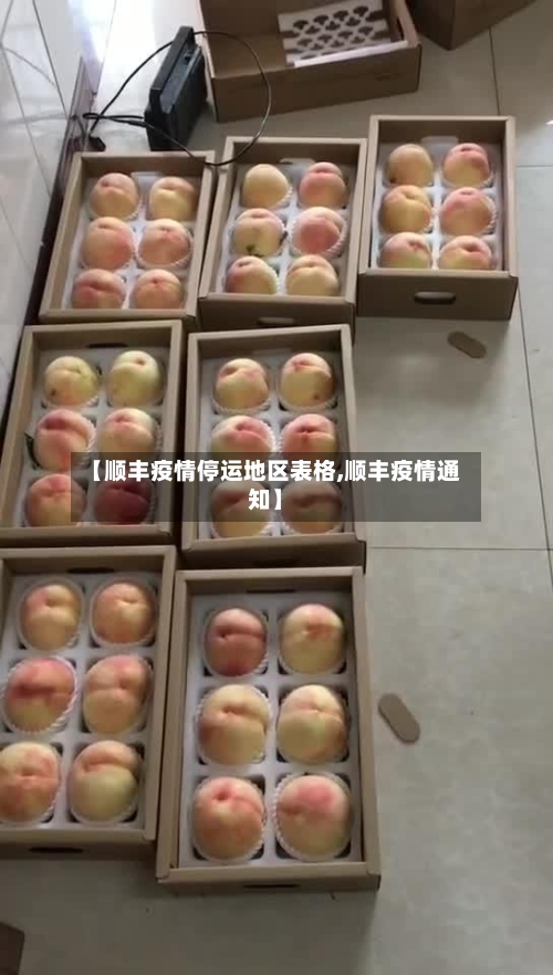 【顺丰疫情停运地区表格,顺丰疫情通知】