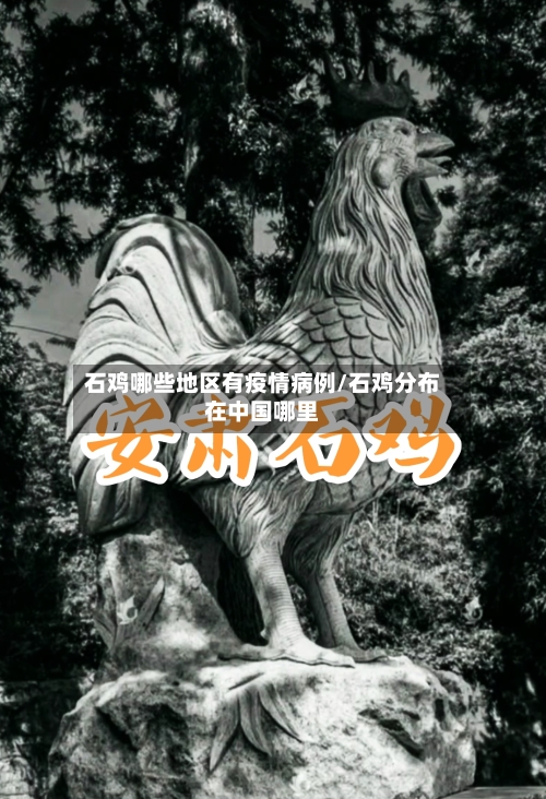 石鸡哪些地区有疫情病例/石鸡分布在中国哪里