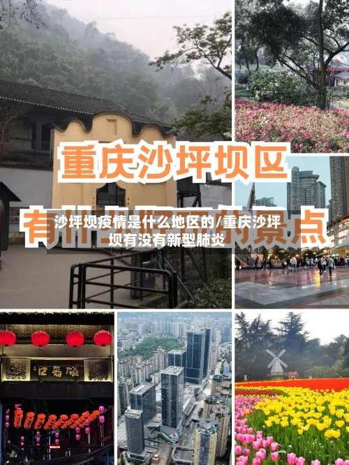 沙坪坝疫情是什么地区的/重庆沙坪坝有没有新型肺炎