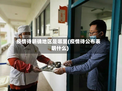 疫情待明确地区是哪里(疫情待公布表明什么)