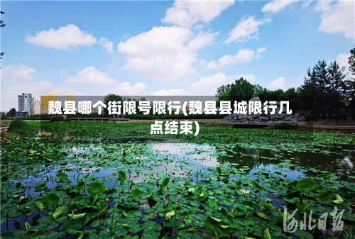 魏县哪个街限号限行(魏县县城限行几点结束)