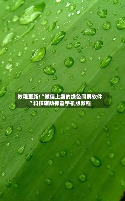教程更新!“微信上卖的绿色同屏软件”科技辅助神器手机版教程
