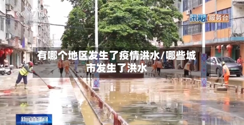有哪个地区发生了疫情洪水/哪些城市发生了洪水