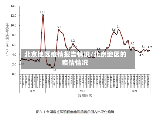 北京地区疫情报告情况/北京地区的疫情情况