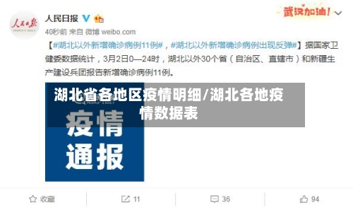 湖北省各地区疫情明细/湖北各地疫情数据表
