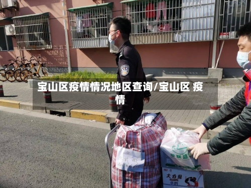 宝山区疫情情况地区查询/宝山区 疫情