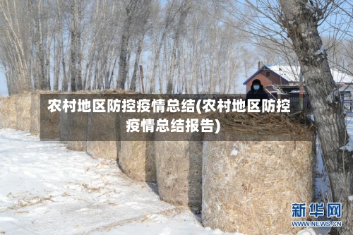 农村地区防控疫情总结(农村地区防控疫情总结报告)