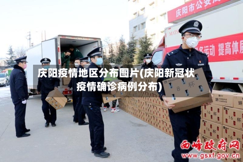 庆阳疫情地区分布图片(庆阳新冠状疫情确诊病例分布)