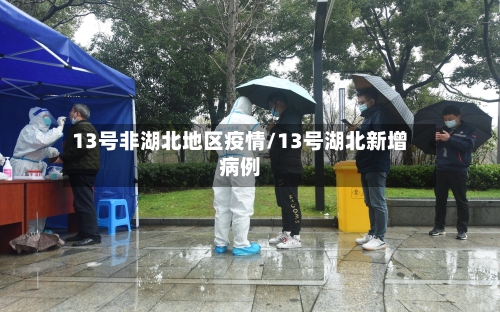 13号非湖北地区疫情/13号湖北新增病例