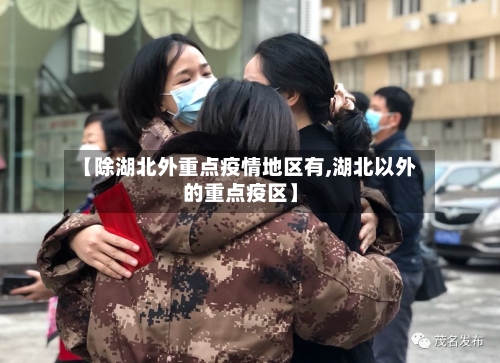 【除湖北外重点疫情地区有,湖北以外的重点疫区】