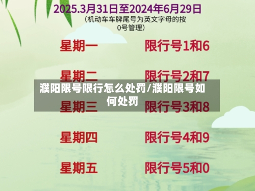 濮阳限号限行怎么处罚/濮阳限号如何处罚