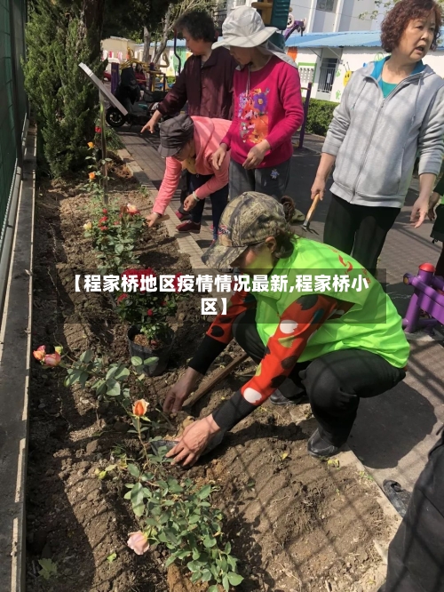 【程家桥地区疫情情况最新,程家桥小区】