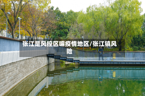 张江是风控区嘛疫情地区/张江镇风险