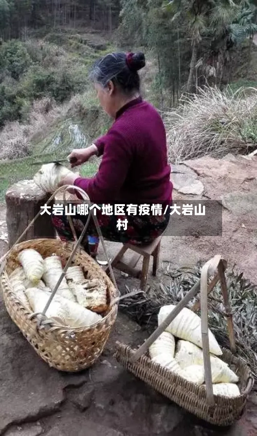 大岩山哪个地区有疫情/大岩山村