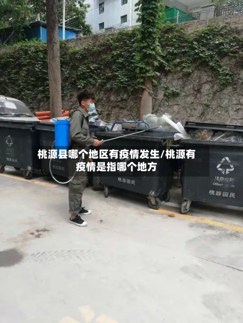 桃源县哪个地区有疫情发生/桃源有疫情是指哪个地方