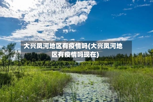 大兴凤河地区有疫情吗(大兴凤河地区有疫情吗现在)