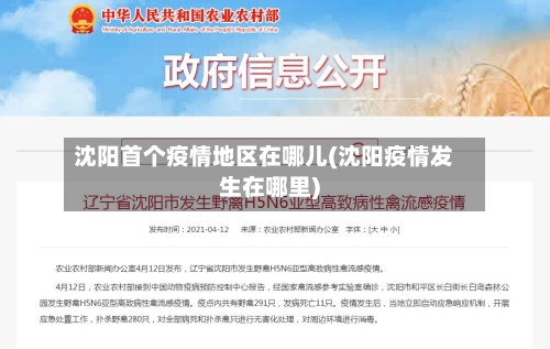 沈阳首个疫情地区在哪儿(沈阳疫情发生在哪里)