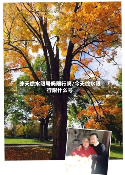 昨天徐水限号吗限行吗/今天徐水限行限什么号